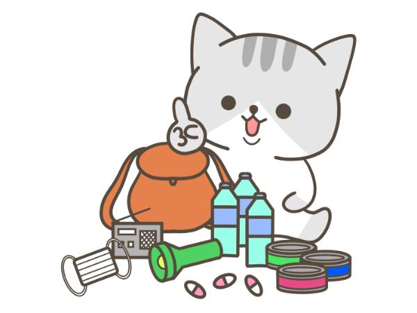 避難所生活で困ること